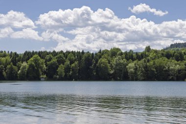 Orman ve Bulutlu Serene Gölü. Tüylü bulutlarla dolu bir gökyüzünün altında yemyeşil ormanlarla çevrili sakin bir göl.