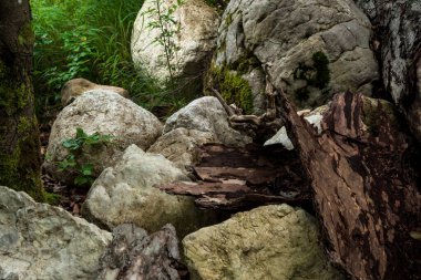 Taşların dokusu. Dağlarda büyük kayalar