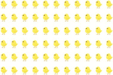 Temiz beyaz bir arka planda sevimli çizgi film tarzı piliçlerin yer aldığı neşeli ve sade bir vektör deseni. Bahar tasarımları, Paskalya temaları, çocuk ürünleri ve eğlenceli baskılar için mükemmel..