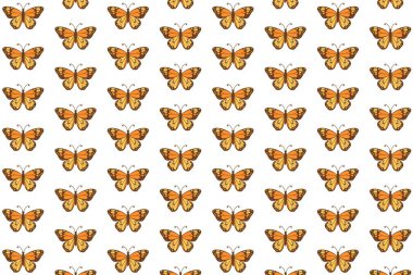 Çizgi film tarzı kelebeklerin olduğu neşeli ve sade bir vektör deseni. Çocuk tasarımları, bahar temaları, kırtasiye malzemeleri ve eğlenceli dijital projeler için mükemmel.