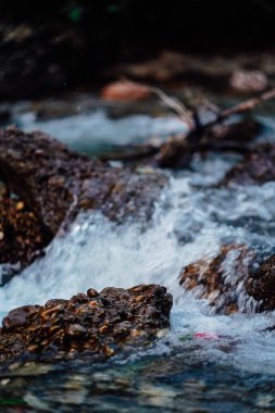 Dağ deresi kayaların üzerinden akıyor.