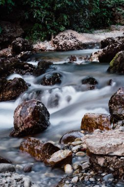 Orman arazisindeki kayaların üzerinden akan nehir akıntısına uzun süre maruz kalmış.