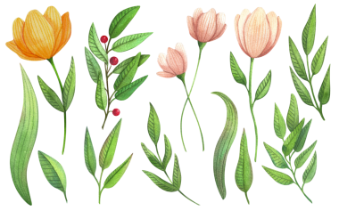 Çiçekler, yapraklar, düğün davetiyeleri, tebrik kartları, basım tasarımı için çiçekli suluboya çizimleri. Renkli çiçek ve bitkilerden oluşan bir bahar ve yaz seti.