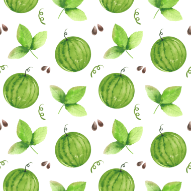 Suluboya çizim seti, karpuz, yapraklar, kusursuz desen. El yapımı karpuz parçaları ve dilimler, dizayn için ahşap şiş, kartpostal, menü, tekstil