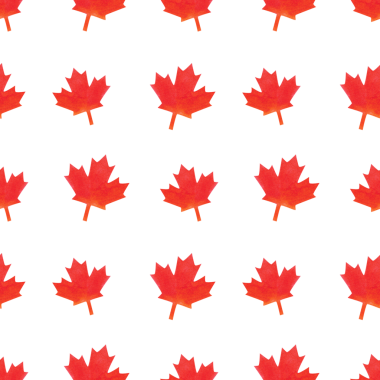 Kanada Tatil Günü 'nün kusursuz bir örneği. Bayraklar, akçaağaç yaprakları, kurdeleler ve kırmızı beyaz çelenkler. Beyaz arkaplanda elle boyanmış suluboya resimler