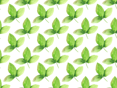 Kusursuz desen. Suluboya resim seti, karpuz, yapraklar. El yapımı karpuz parçaları ve dilimler, dizayn için ahşap şiş, kartpostal, menü.