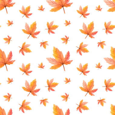 Beyaz arka planda suluboya sonbahar yaprakları olan kusursuz bir desen. Tasarım, baskı ve tekstil için el çizimi illüstrasyon