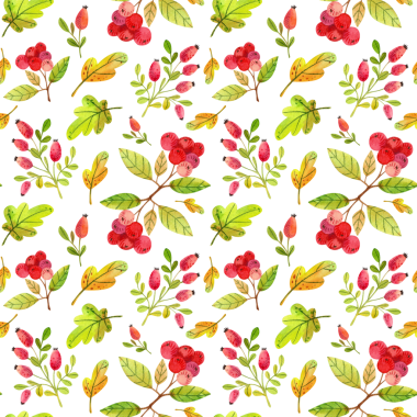 Beyaz arka planda suluboya sonbahar yaprakları ve böğürtlenlerle kusursuz desen. Tasarım, baskı ve tekstil için el çizimi illüstrasyon