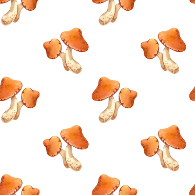 Sonbahar yaprakları, böğürtlen ve mantarlar beyaz arka planda. Tasarım, baskı ve tekstil için bitkilerin el çizimi suluboya çizimi