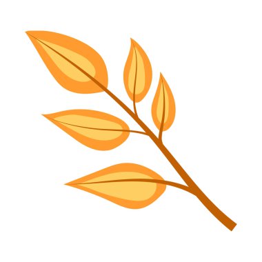 Hoş sonbahar vektör çizimleri. Mantarlar, sineklik, yapraklar. El yapımı bitkiler. Düz vektör grafikleri.