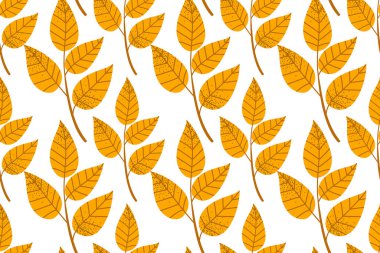 Sonbahar yaprakları pürüzsüz bir zemin bırakır. Beyaz arkaplanda izole edilmiş bitkilerin vektör çizimi