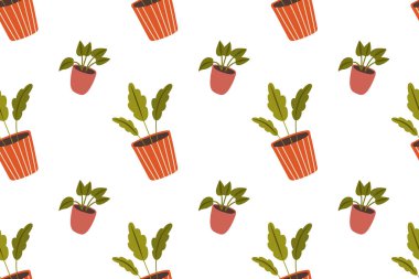 Ev bitkilerinde pürüzsüz desen. Beyaz arkaplandaki saksılarda çiçeklerin el çizimi vektör çizimi