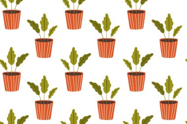 Ev bitkilerinde pürüzsüz desen. Beyaz arkaplandaki saksılarda çiçeklerin el çizimi vektör çizimi