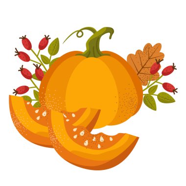 Çekirdekli balkabağı ve portakal kabağı tasviri. Sonbahar hasadı. Düz stil taze sebzeler. Cadılar Bayramı ve Şükran Günü tasarımı için.