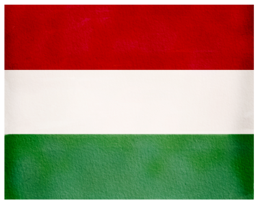 Macar bayrağı. El çizimi suluboya çizimi.