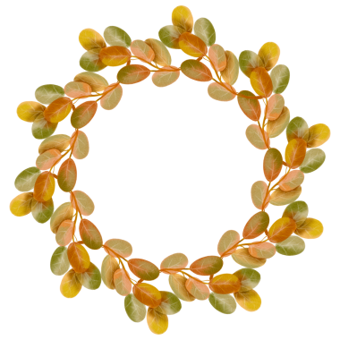 Sonbahar yapraklı yuvarlak çerçeve. Sonbahar bitkilerinin suluboya tarzında resmedilmesi.