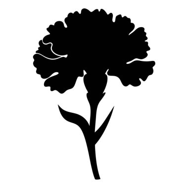 Beyaz arka planda karanfil çiçeğinin zarif siyah silueti