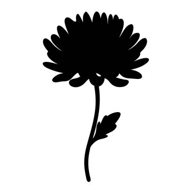 Kasımpatı çiçeğinin siyah silueti sapı ve yaprağı beyazın üzerinde.