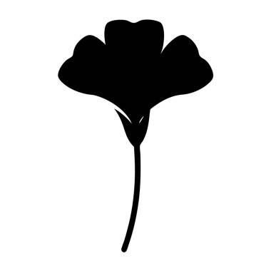 Beyaz arka planda bir Ginkgo Biloba yaprağının dramatik silueti