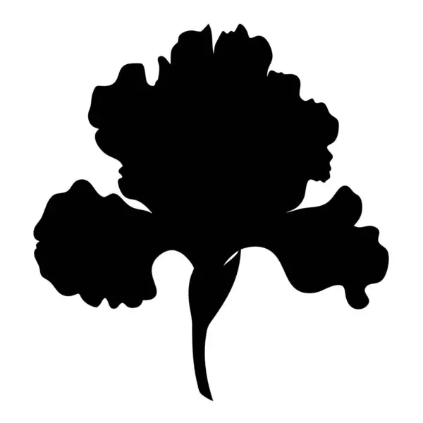 Karmaşık Yapraklar ve Hassas Kök Tasarımı ile Dramatik Siyah İris Silueti