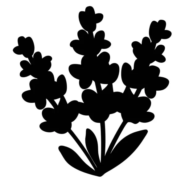 Lavanta Sprigs 'in Siyah Silueti Tasarım İçin Beyaz Arkaplana Karşı