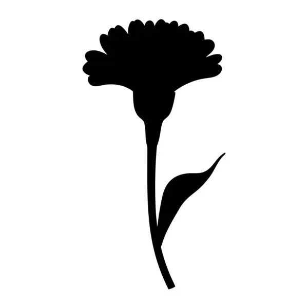 Zarif Taç Ayrıntılarıyla Karanfil Çiçeğinin Dramatik Silueti