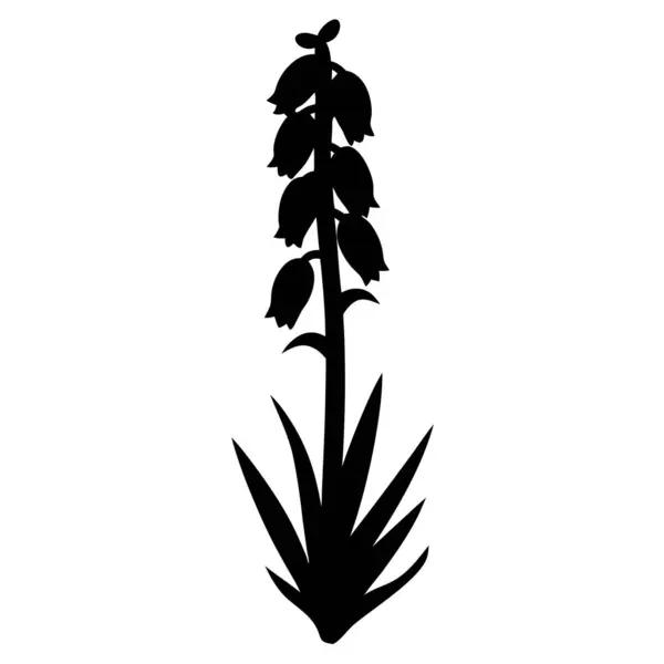 Çarpıcı bir kontrastla ve sanatsal yetenekle çiçek açan sümbülün dramatik silueti.