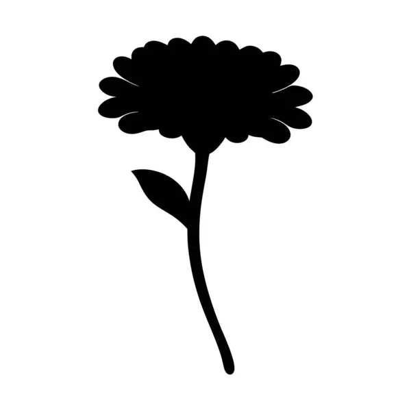 Kök ve Yapraklı Botanik Çiçeğinin Zarif Çiçeği