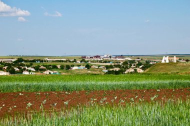 Eller nazikçe toprağa genç fideleri yerleştirir ve yeni bir büyüme mevsimi başlar. Özen, güneş ve suyla bu küçük bitkiler gelişen bir bahçeye dönüşecek..