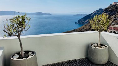 Fira, Santorini 'deki siyah çakıl balkonunda, çimento saksıları içinde küçük zeytin ağaçları. Yüksek kalite fotoğraf