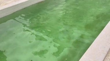 Yüzen enkaz ve güçlü rüzgar ile terk edilmiş yeşil havuz dalgalar yaratır. İhmal edilmiş boş zaman kavramı. Yüksek kalite 4k görüntü