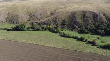 Volodarsk Steppe 'deki Autumn Fields ve Hills' in başları. Ukrayna, Donetsk bölgesi. Yüksek kaliteli FullHD görüntüler