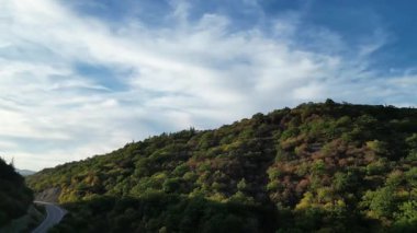 Georgia mı? Güneşli sonbahar havasında insansız hava aracı. Dağlar arasında sık ormanlı manzaralı bir yol. Yüksek kalite 4k görüntü