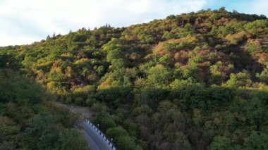 Gürcistan 'daki Orman Dağları ve Viraj Yolu' nun Hava Manzarası. Yüksek kalite 4k görüntü
