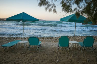 Turkuaz plaj şezlongları ve şemsiyeler arka planda çam ağaçları ve fırtınalı deniz olan bir sahilde. Yüksek kalite fotoğraf
