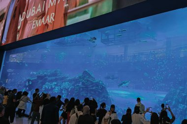 Dubai, BAE. 3 Ekim 2024. Büyük Dubai akvaryumunda bir sürü turist fotoğraf çekiyor. Yüksek kalite fotoğraf