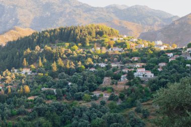Batı Girit 'te yer alan Lakkoi dağ köyü, yazın açık güneşli gökyüzünün altında yoğun bir çam ormanı ve tepelerle çevrilidir.