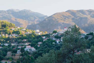 Batı Girit 'te yer alan Lakkoi dağ köyü, yazın açık güneşli gökyüzünün altında yoğun bir çam ormanı ve tepelerle çevrilidir.