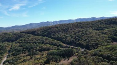 Gürcistan 'da Tiflis yakınlarında yol ve sık orman yakınlarında insansız hava aracı uçuşu, Gürcistan' ın doğal güzelliğini ve çevresini gösteriyor. 
