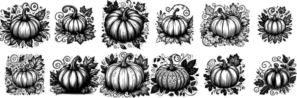 Kıvırcık saplı ve sonbahar yapraklı 12 siyah beyaz balkabağı çizgisi