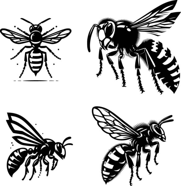 Stylized hornet in clean black and white vector with bold, striking minimalist lines.