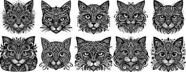 On kabile kedisi yüz vektörü siyah beyaz, simetrik çizgiler ve kalın karmaşık şekiller.