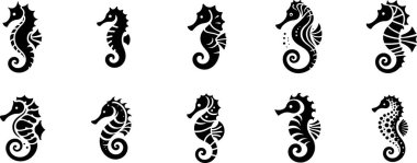 Pürüzsüz ve zarif çizgilerle bir deniz atının on minimalist siyah beyaz vektörü.