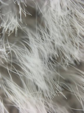 Gri arka planda beyaz yün desenli, yumuşak, kabarık lifler ve karmaşık detaylar sergiliyor. Soyut ve dokuya odaklı hisse senedi fotoğrafçılığı için mükemmel..