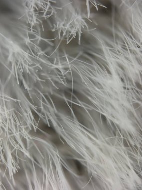 Gri bir arkaplana karşı beyaz yün lifleri yakın plan, hassas dokuyu ve ince detayları vurguluyor. Soyut, doğal ve doku temalı hisse senedi resimleri için ideal.