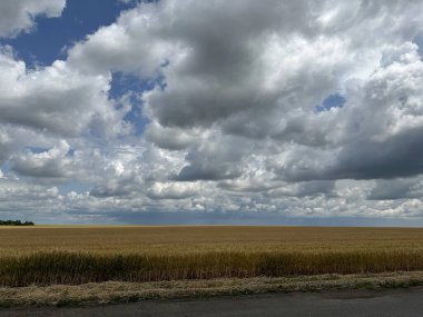 Şiddetli yağmur bulutlarının altında geniş bir açık alan, karamsar gökyüzünü yakalıyor yemyeşil araziye yağmur yağdırmaya hazır..