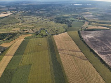 Bereketli tarım arazilerinin ve açık çayırların yukarıdan aşağıya bakışı kırsal dünyanın canlı dokularını ve renklerini gözler önüne seriyor..