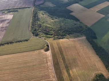 İnsansız hava aracı engin tarım alanlarını ve yeşil çayırları görüntüleyerek, yukarıdan gelen doğa yamalarını vurguluyor..