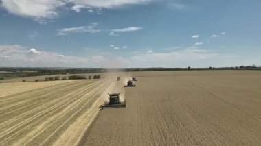 Yukarıdan gelen hava aracı görüntüleri buğday tarlasında çalışan, tarım makinelerini, hasatı ve kırsal araziyi vurgulayan üç kombinasyonu gösteriyor..