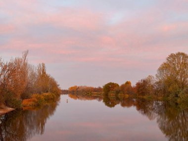 Nehirde bir ağaçla güzel bir gün batımı